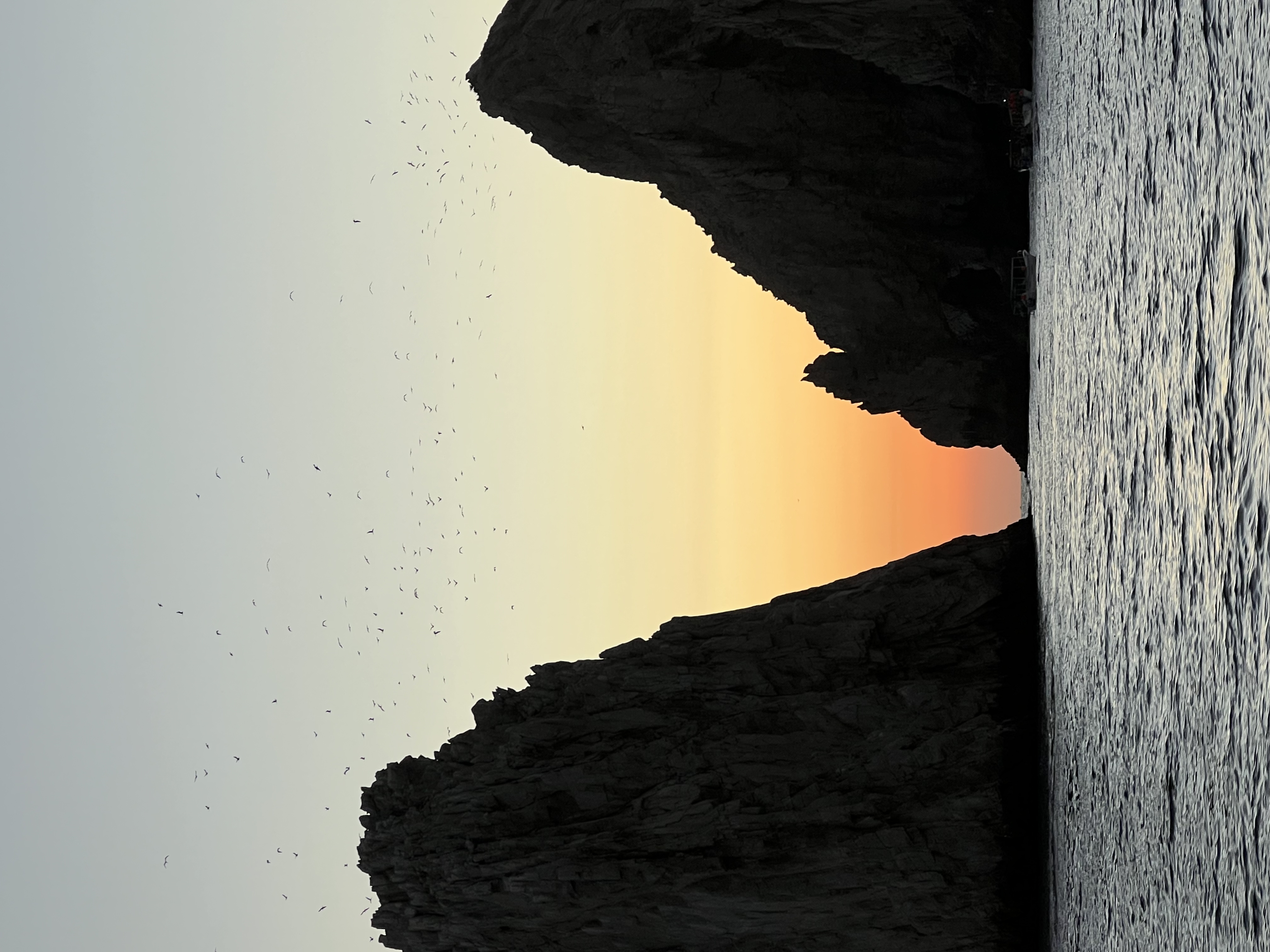 ./2024/13 - Cabo/IMG_4789.jpg